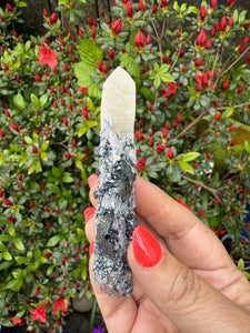 Rose Specular Hematite on Quartz Specimen