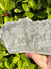 Load image into Gallery viewer, Triassic Cotham Landscape Marble Specimen
