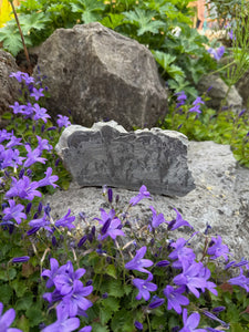Triassic Cotham Landscape Marble Specimen