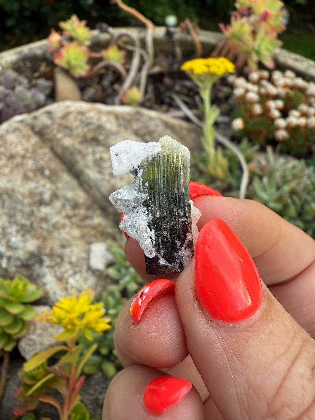 Green Cap Tourmaline Specimen