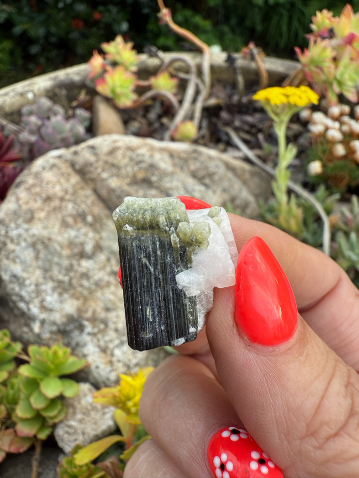 Green Cap Terminated Tourmaline Specimen