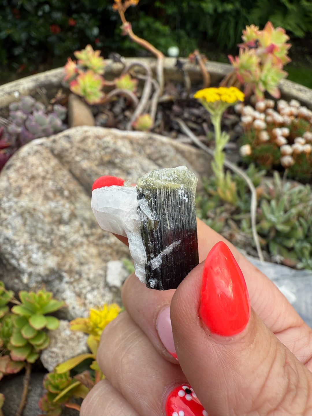 Green Cap Terminated Tourmaline Specimen