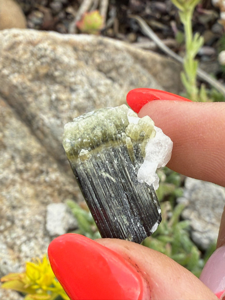Green Cap Terminated Tourmaline Specimen