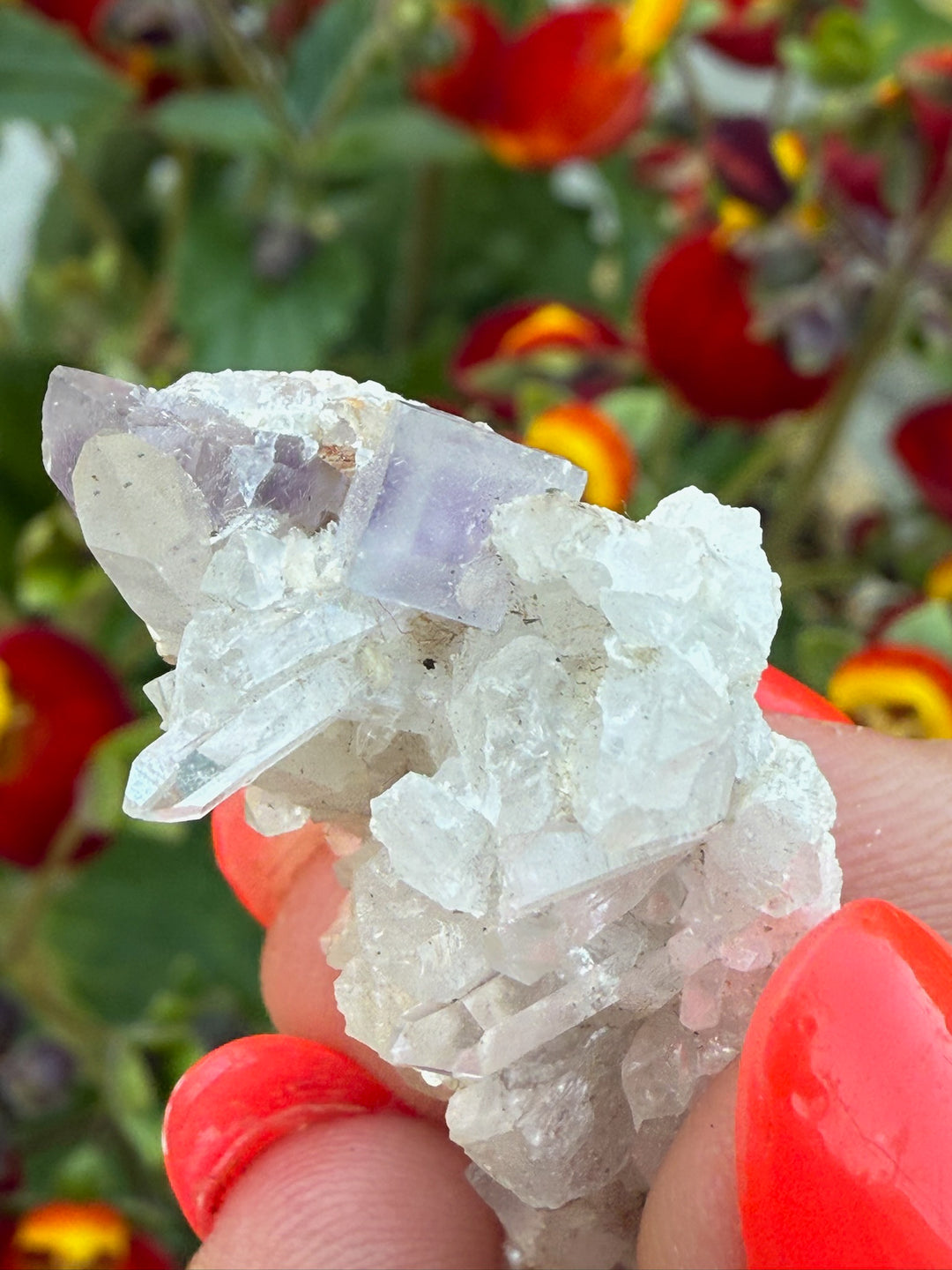 Zoned Fluorite on Quartz Specimen From Peru