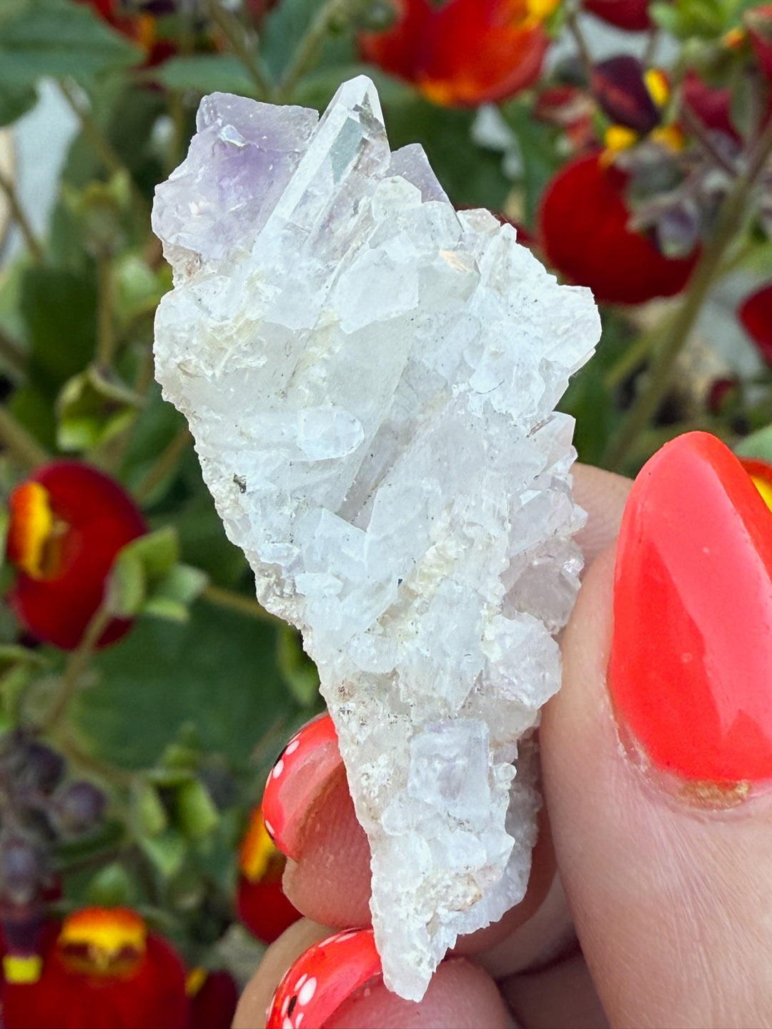 Zoned Fluorite on Quartz Specimen From Peru