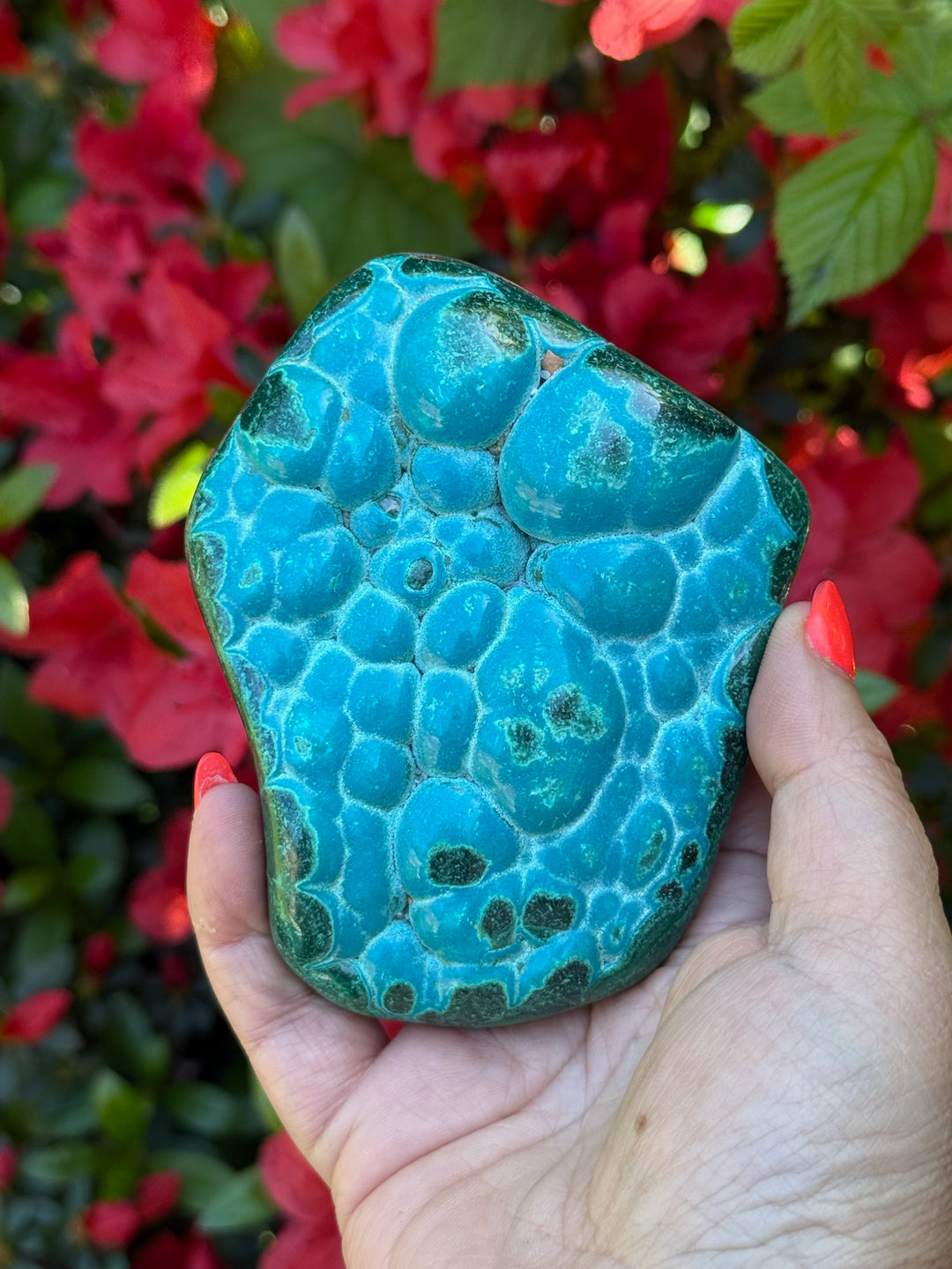 Chrysocolla and Malachite Malacholla Specimen
