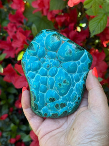 Chrysocolla and Malachite Malacholla Specimen