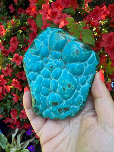 Chrysocolla and Malachite Malacholla Specimen