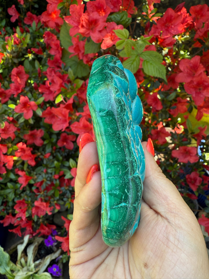 Chrysocolla and Malachite Malacholla Specimen