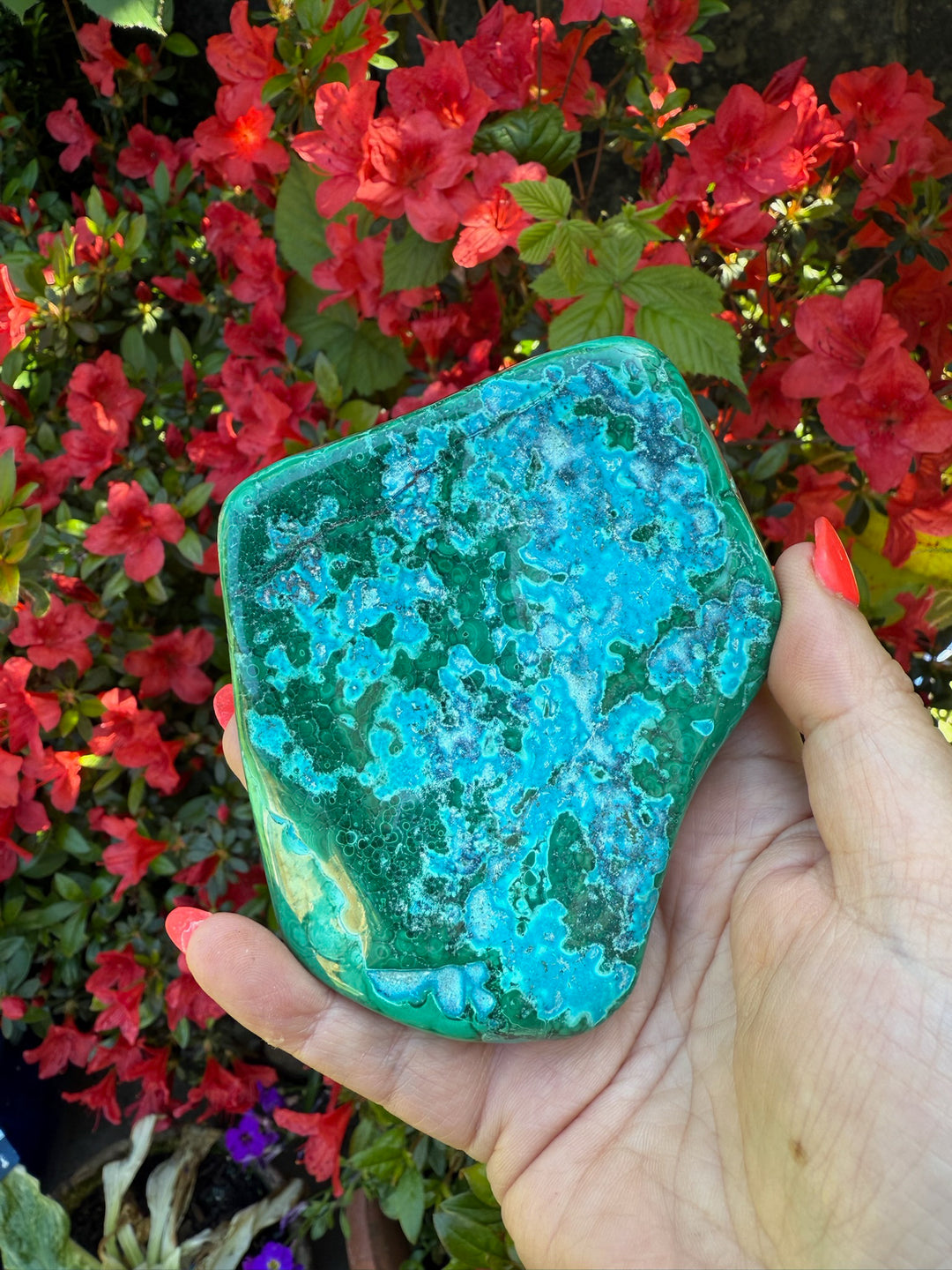 Chrysocolla and Malachite Malacholla Specimen
