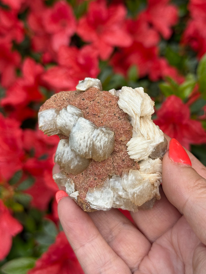 Calcite Specimen from Taffs Well, UK