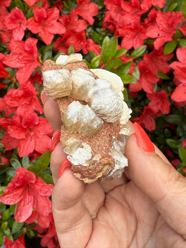 Calcite Specimen from Taffs Well, UK