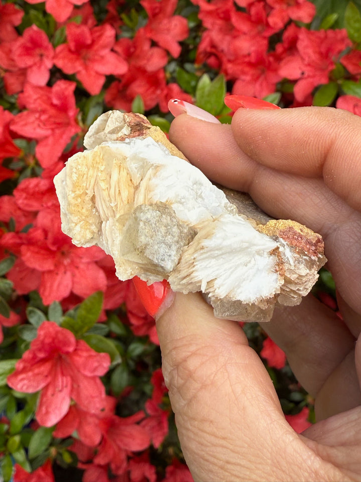 Calcite Specimen from Taffs Well, UK