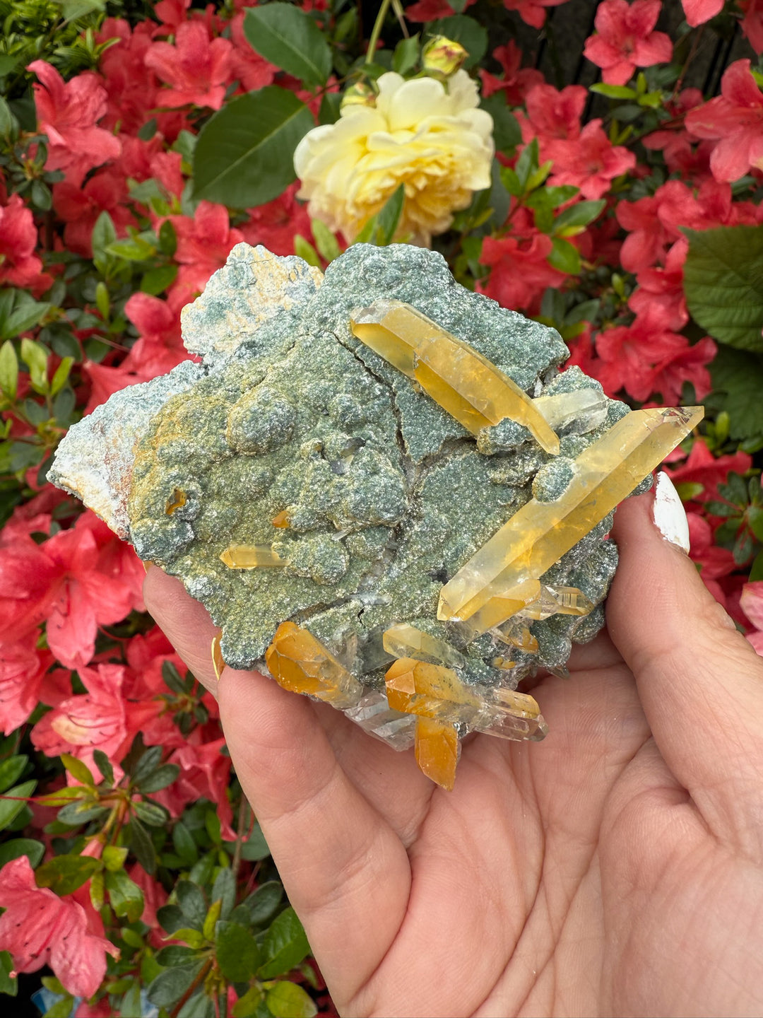 Quartz with Limonite Specimen From Columbia