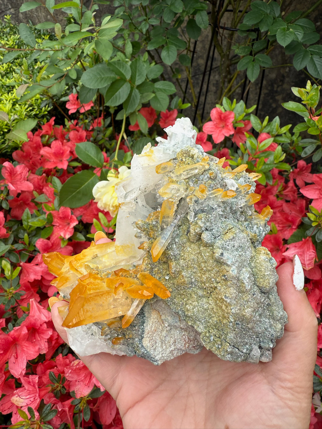 Golden Healer Quartz with Limonite Specimen From Columbia