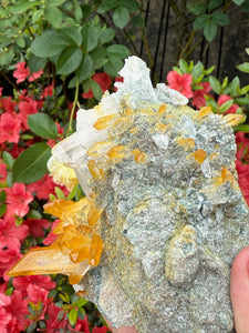Golden Healer Quartz with Limonite Specimen From Columbia