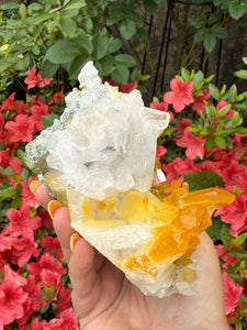 Golden Healer Quartz with Limonite Specimen From Columbia