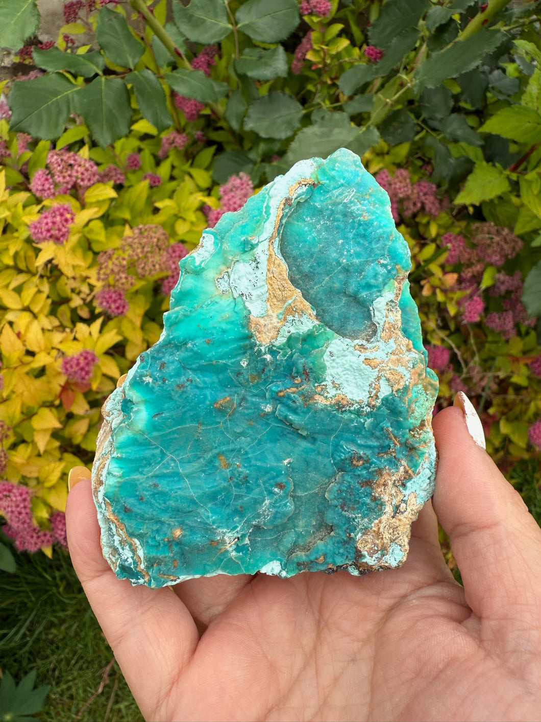 Chrysocolla Gem Silica Specimen