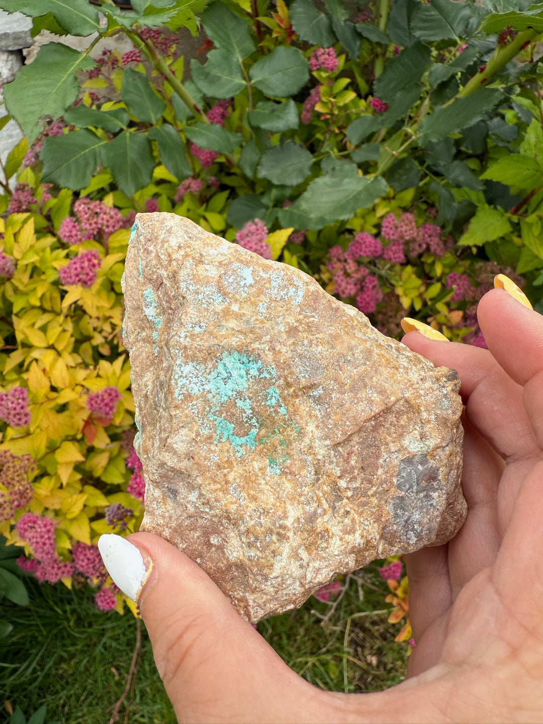 Chrysocolla Gem Silica Specimen