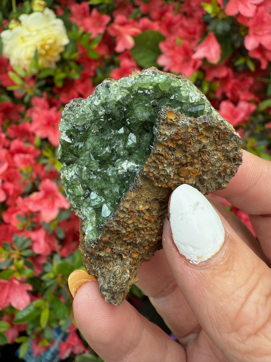 Rare Ludlamite Specimen From Amazonas