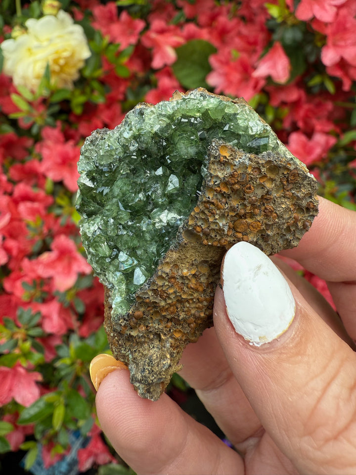 Rare Ludlamite Specimen From Amazonas