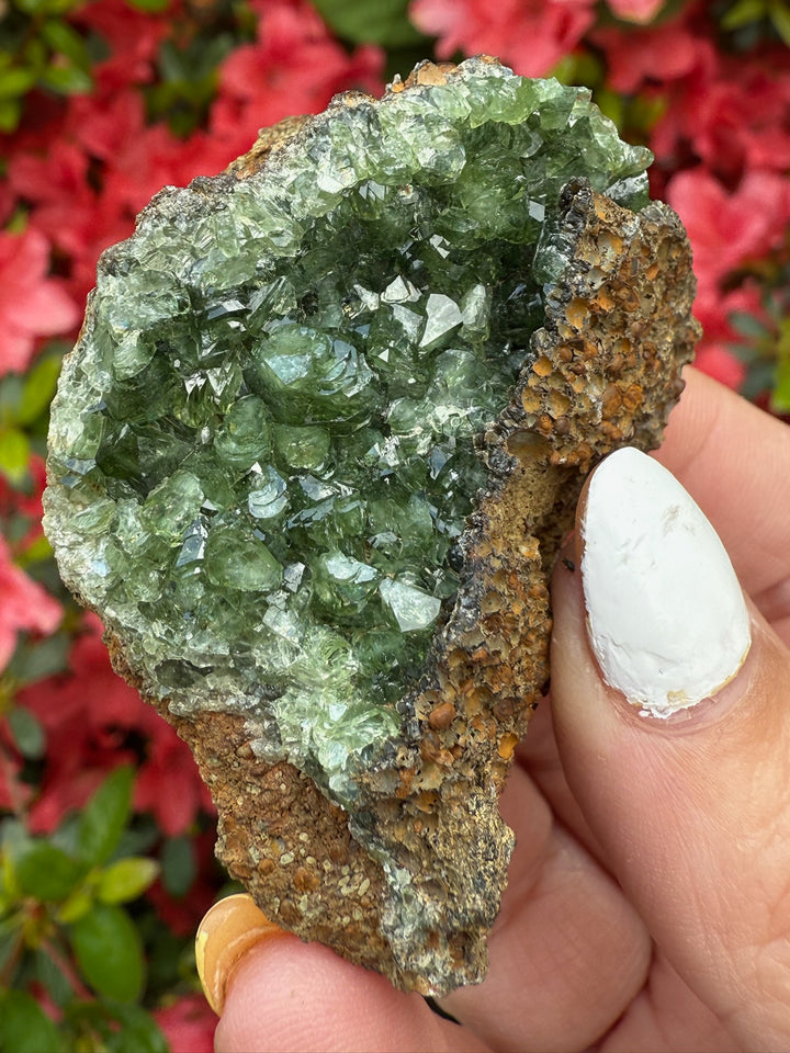 Rare Ludlamite Specimen From Amazonas