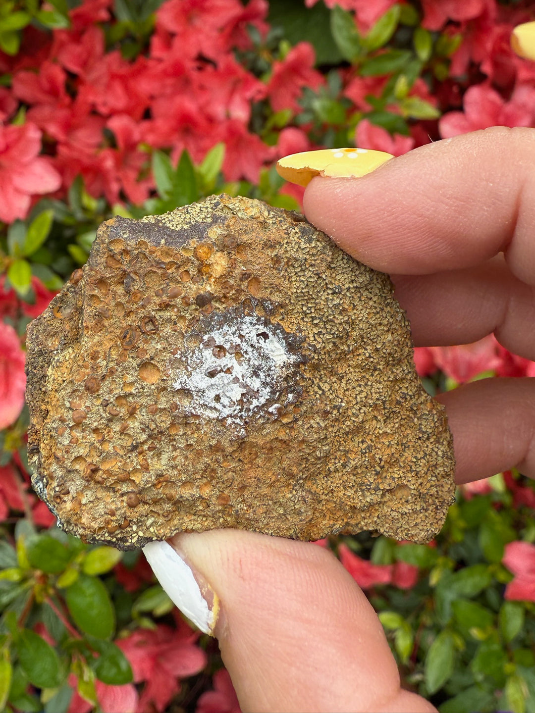 Rare Ludlamite Specimen From Amazonas
