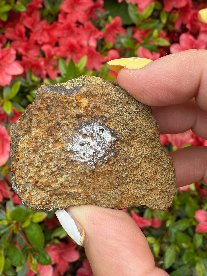 Rare Ludlamite Specimen From Amazonas