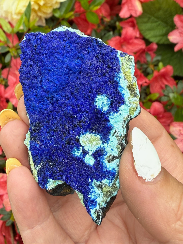 Azurite and Gibbsite Specimen