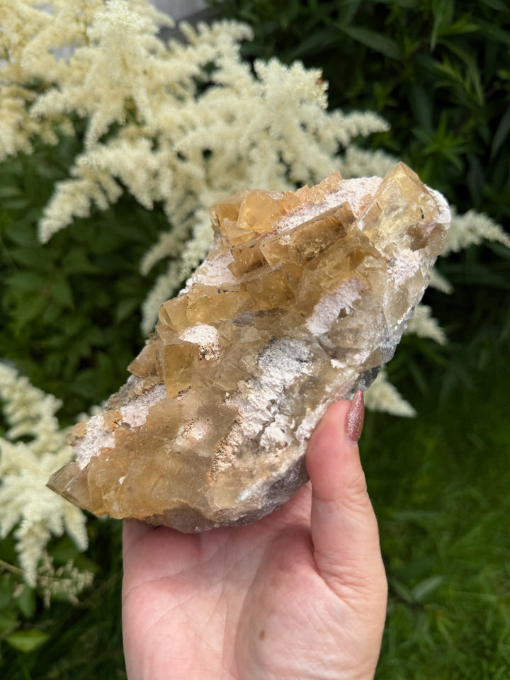 UV Reactive Cubic Yellow Fluorite from Beijing Specimen