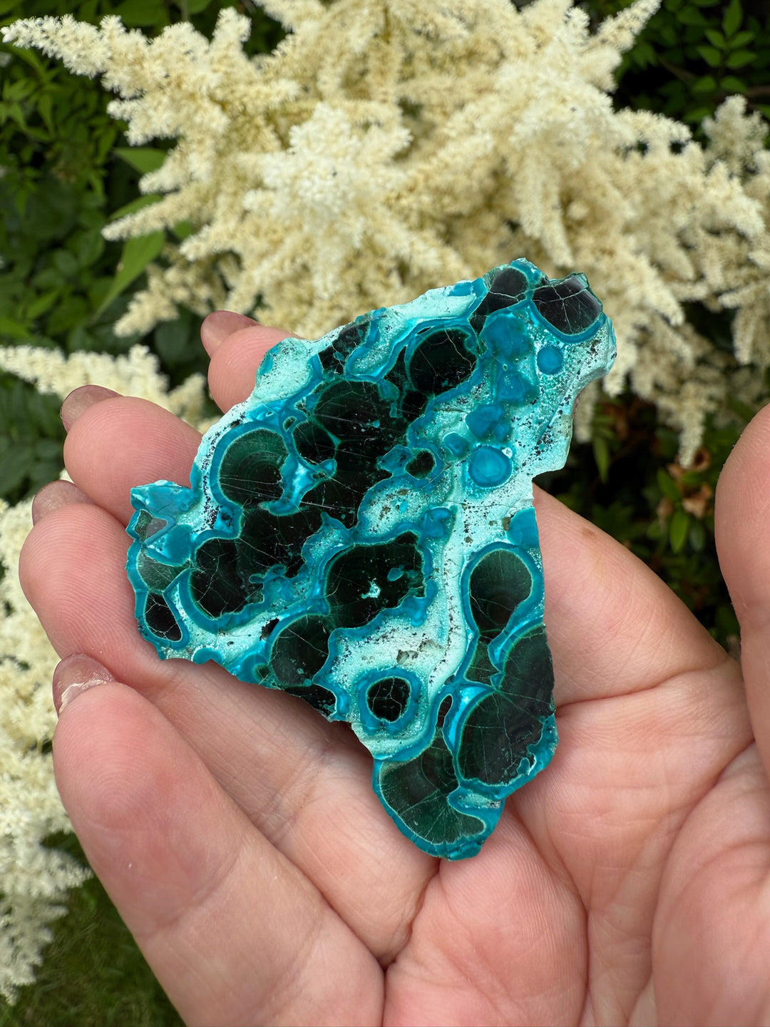 Vibrant Chrysocolla and Malachite Specimen from Congo
