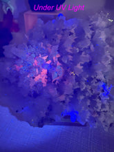 Load image into Gallery viewer, UV Reactive Calcite on Quartz Specimen with Chalcopyrite and Rhodochrosite
