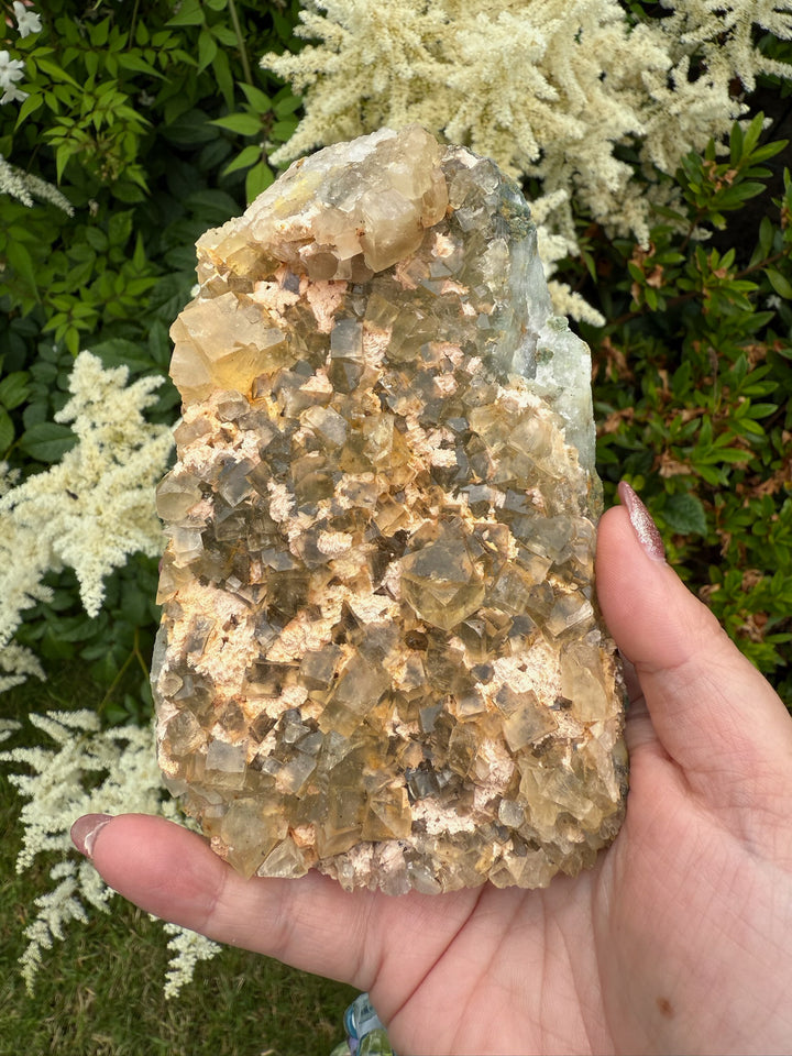 UV Reactive Cubic Yellow Fluorite Specimen from Beijing