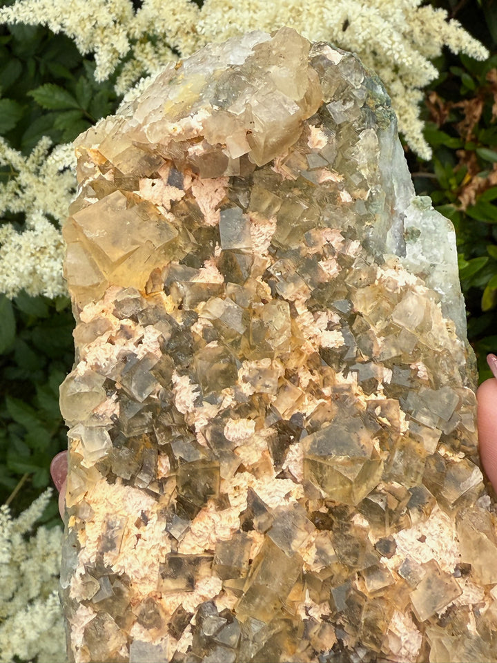 UV Reactive Cubic Yellow Fluorite Specimen from Beijing