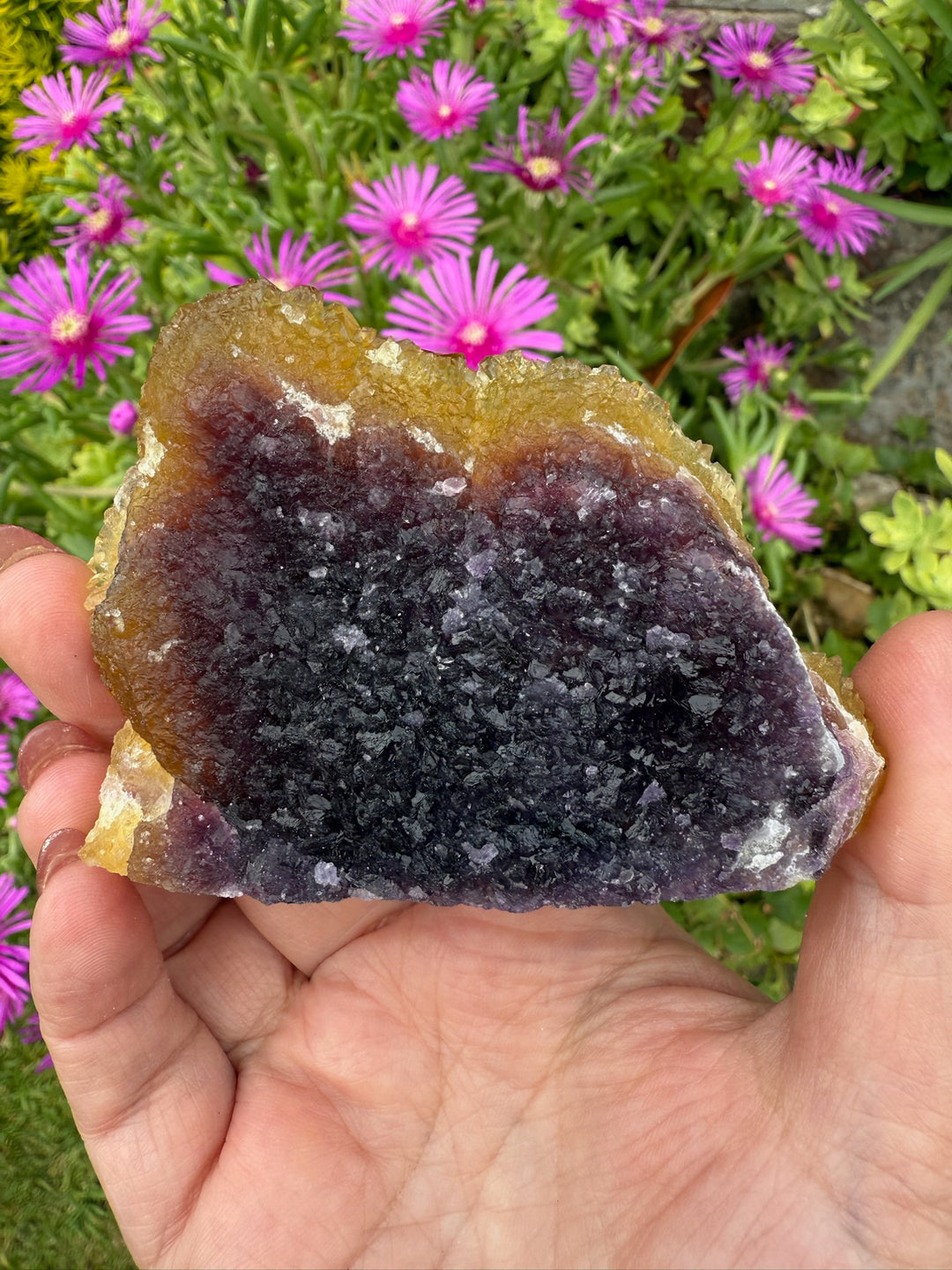 Amazing Yellow and Purple Fluorite Specimen