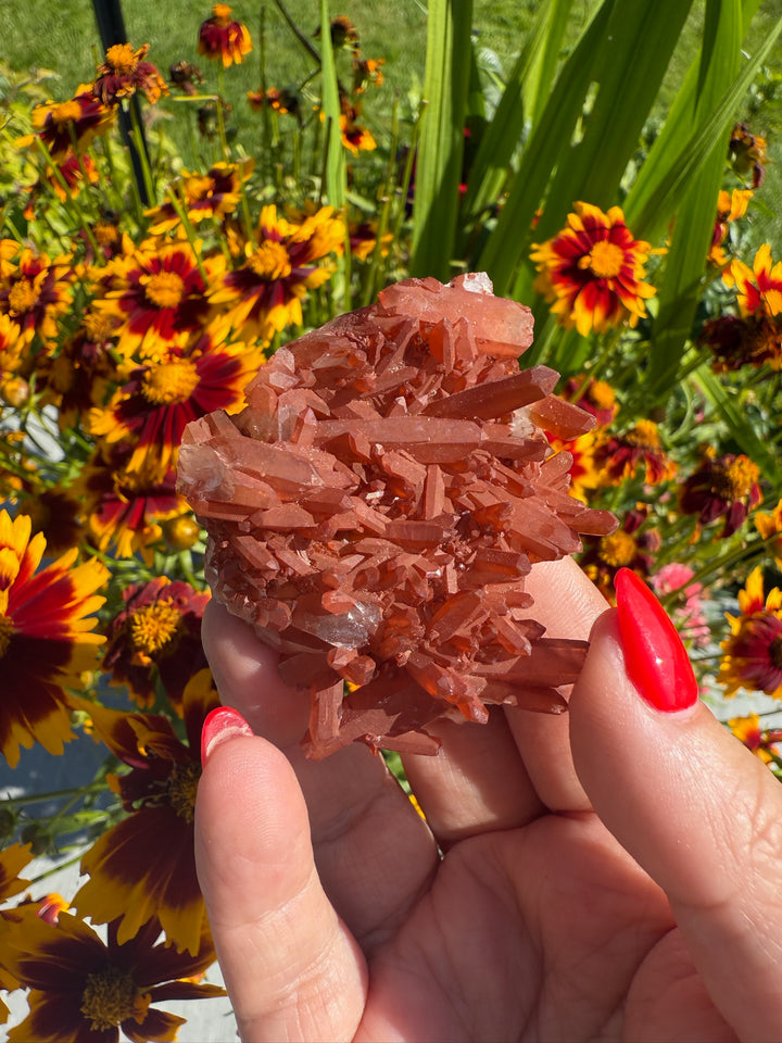 Natural Tangerine Quartz Cluster Specimen