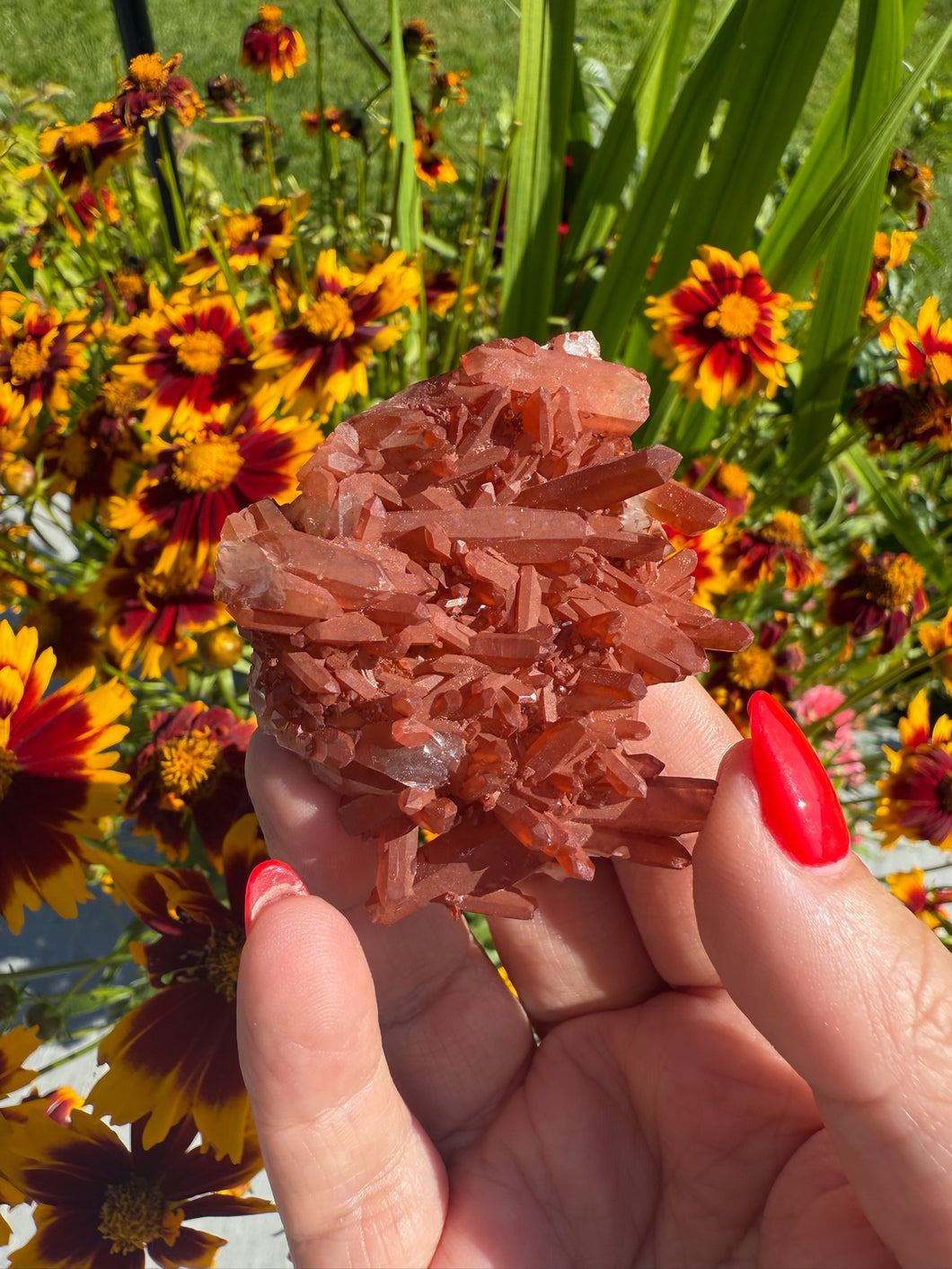Natural Tangerine Quartz Cluster Specimen