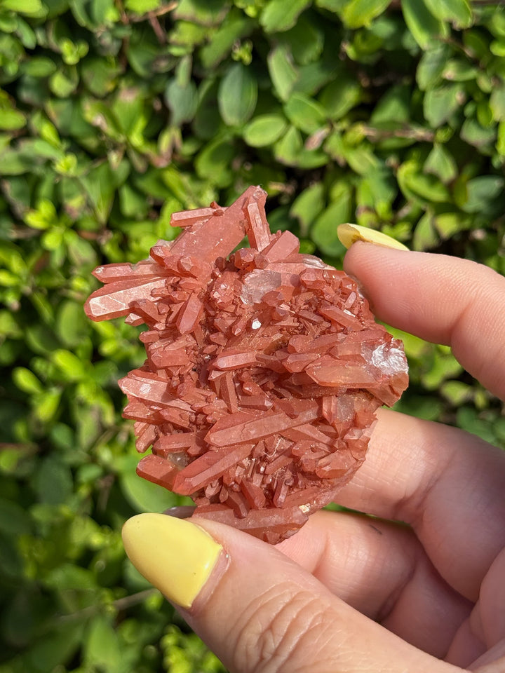 Natural Tangerine Quartz Cluster Specimen