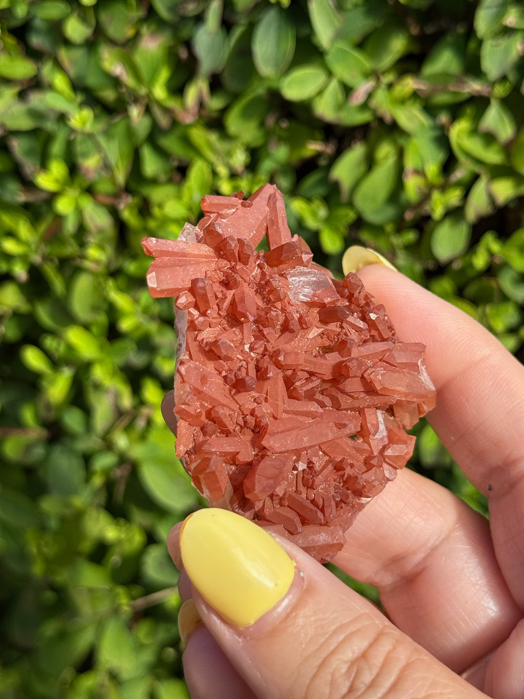 Natural Tangerine Quartz Cluster Specimen