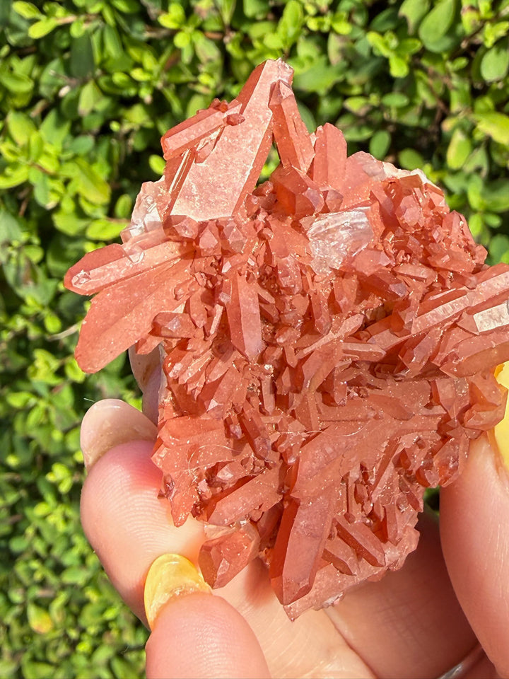 Natural Tangerine Quartz Cluster Specimen