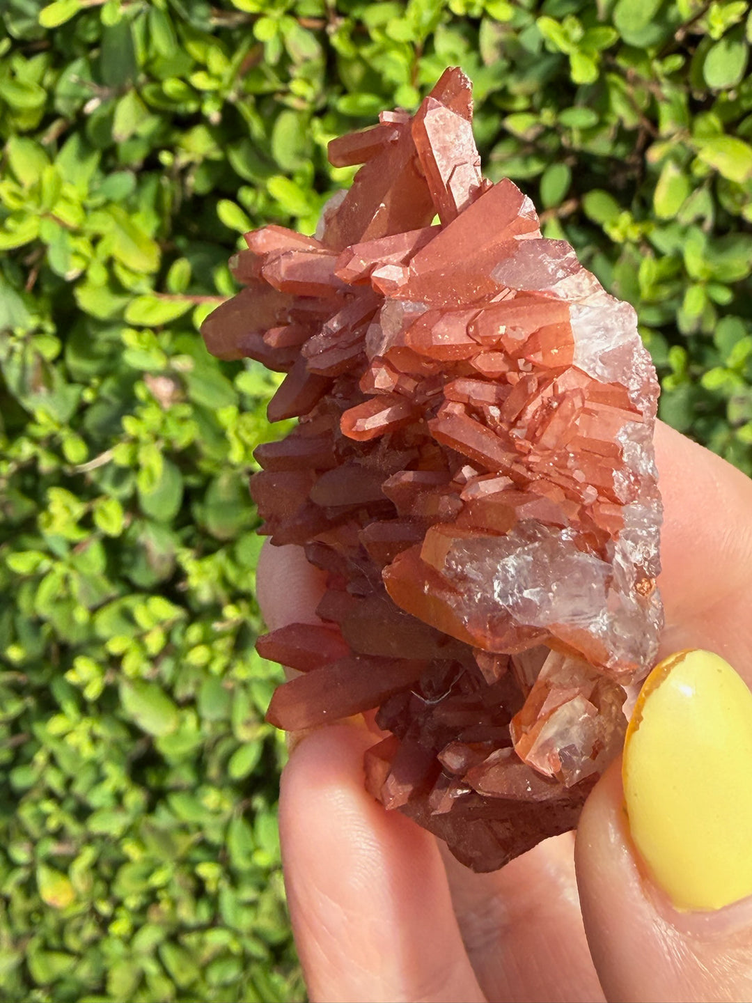 Natural Tangerine Quartz Cluster Specimen
