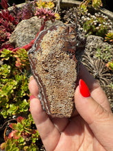 Load image into Gallery viewer, Fairy Holes Pocket UK Fluorite Specimen

