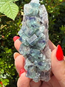 Naughty Gnome Pocket, UK Fluorite Specimen