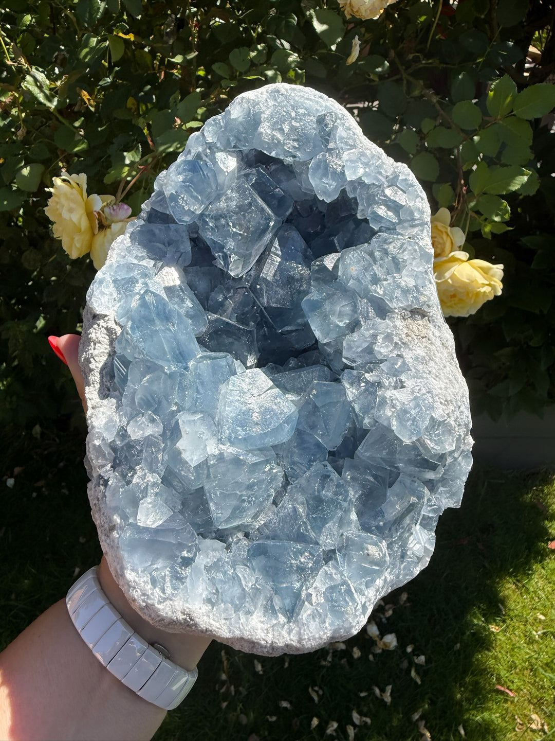 Top Quality Celestite Specimen