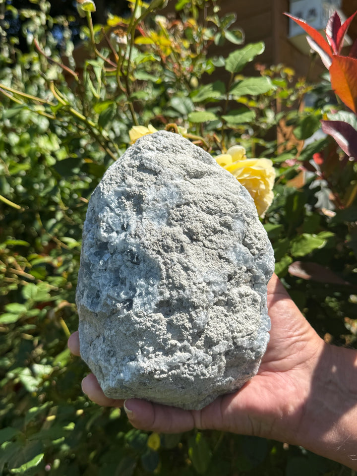 Top Quality Celestite Specimen