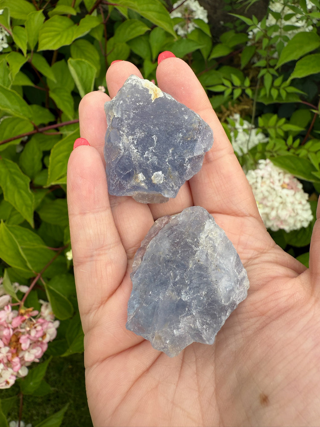 2 Fluorite Specimens
