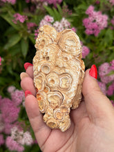 Load image into Gallery viewer, Interesting chalcedony Geode Specimen
