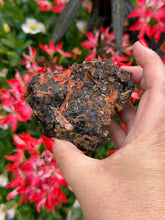 Load image into Gallery viewer, Crocoite Specimen from Tasmania
