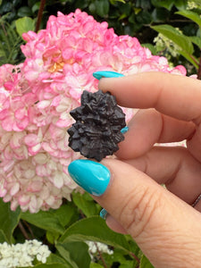 Prophecy Stone Specimen