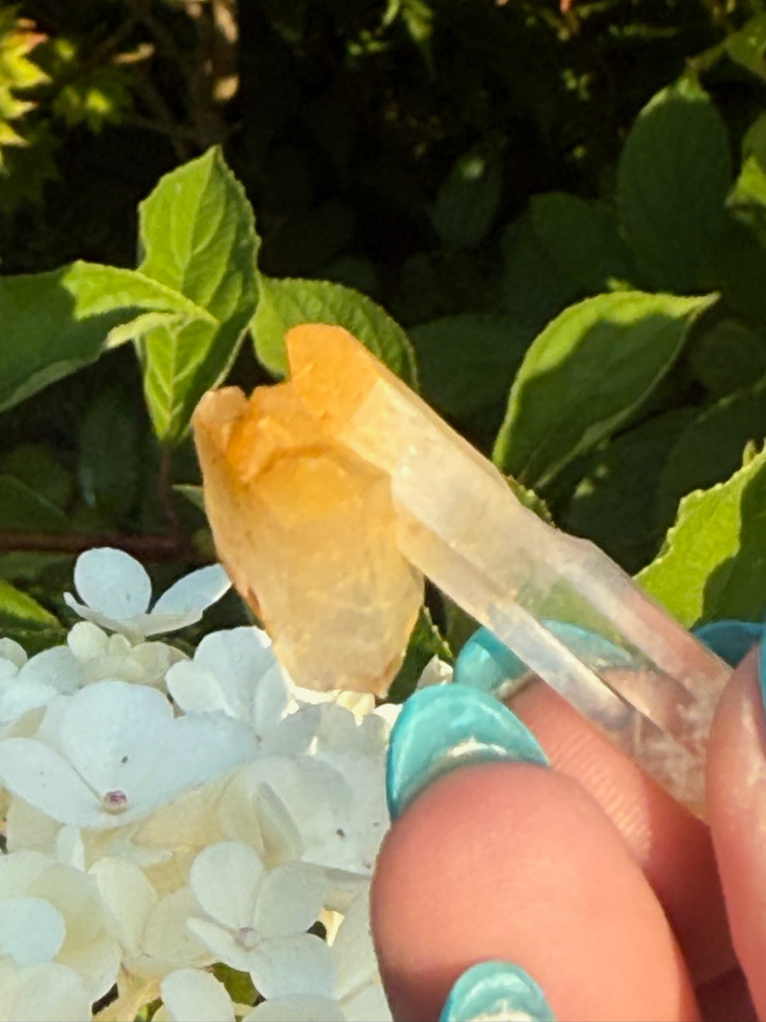 Mango Quartz Point Halloysite Specimen